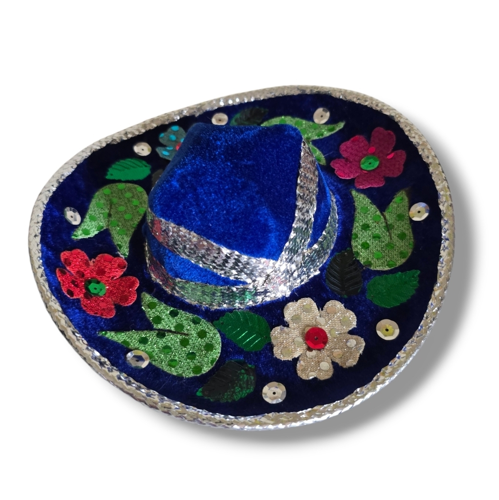 π Host Pick π Mexican Blue and Silver Small Dog Mini Sombrero - Picture 11 of 16